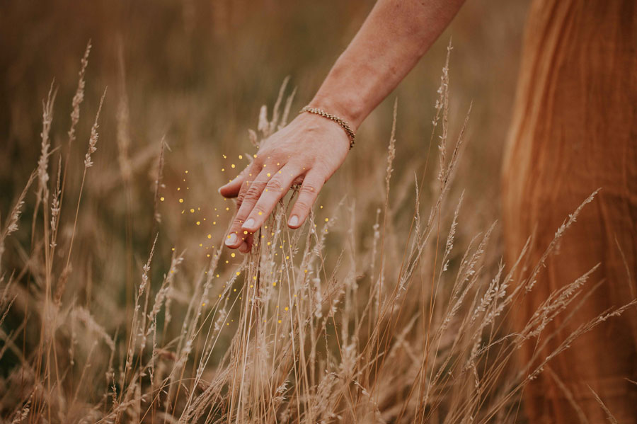 Johannas läuft über eine Wiese. Man sieht nur ihre Hand, die die Spitzen der Gräßer streift. Darüber goldene Punkte.